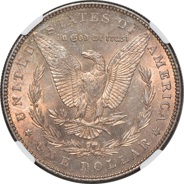 Five Morgan silver dollars certified MS65