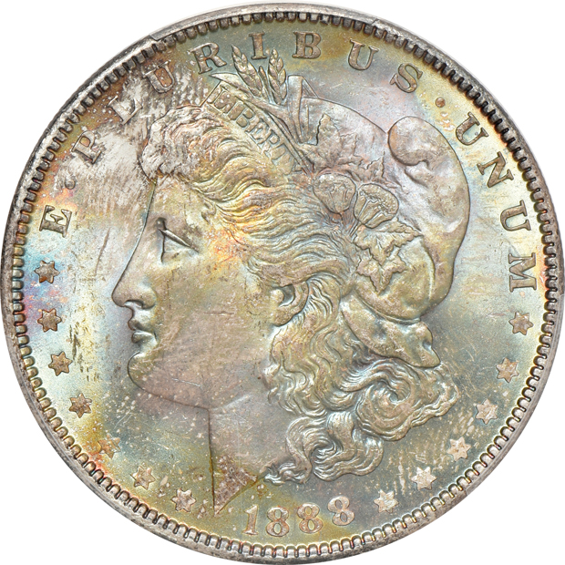Five Morgan silver dollars certified MS65