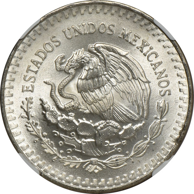 Mexico - One 1982-Mo Doubled Die Reverse 1 onza, and nine 1983-Mo Doubled Die Reverse 1 onza - NGC MS-66