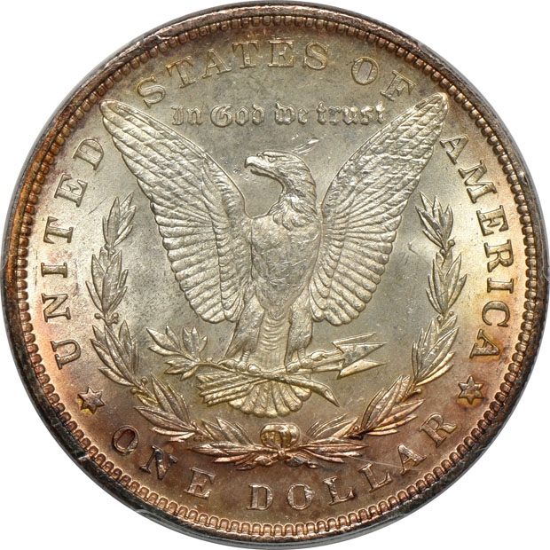 Five certified MS-65 Morgan silver dollars, three NGC and two PCGS