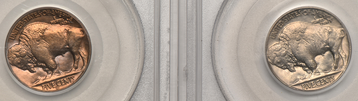 Four Buffalo nickels, all PCGS MS-64 (green label)