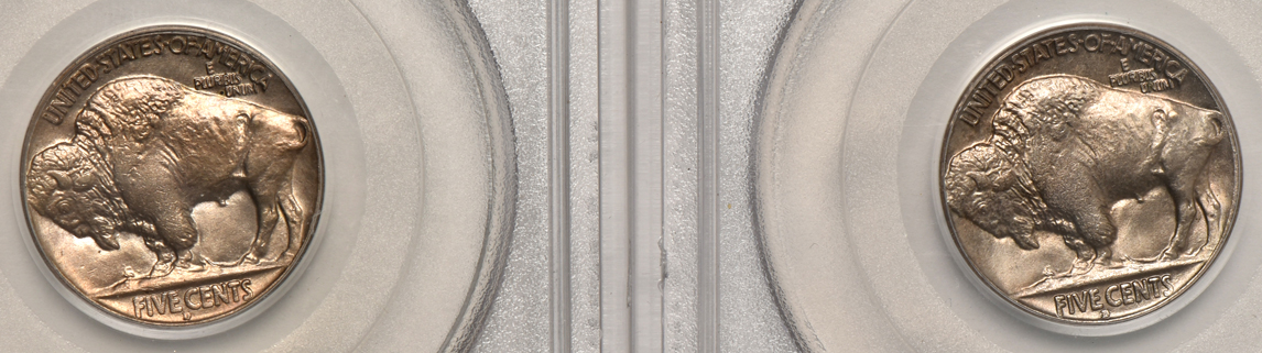 Four Buffalo nickels, all PCGS MS-64 (green label)