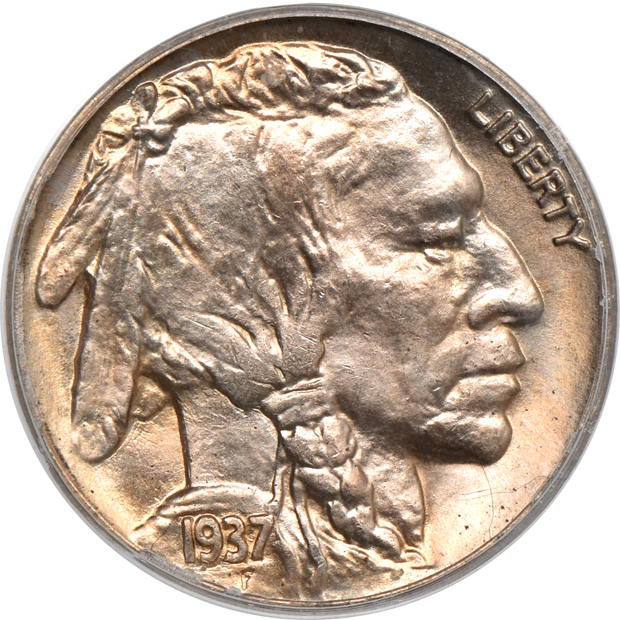 Five Buffalo nickels, all PCGS MS-66 (green label)