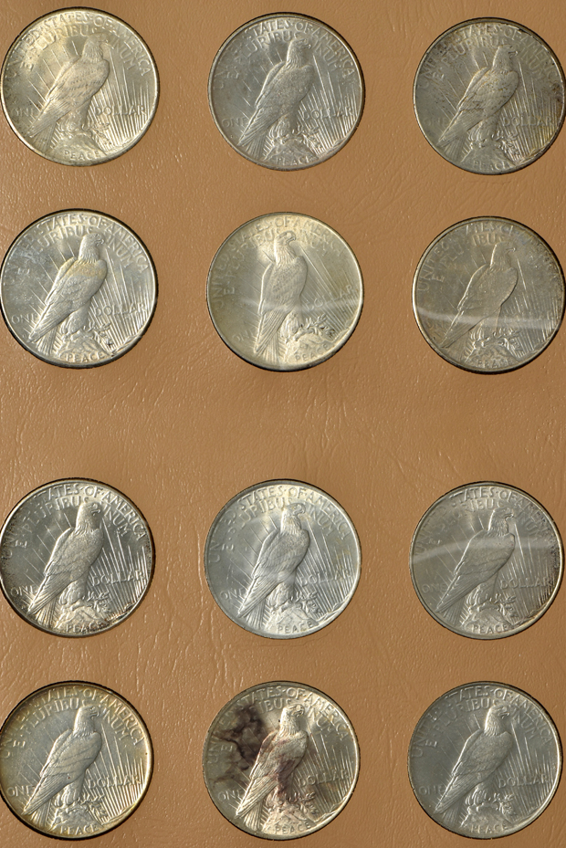 Complete collection of Peace silver dollars in a Dansco 7175 album
