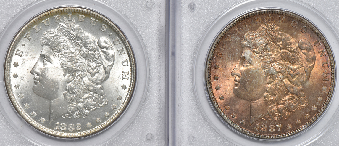 Six Morgan silver dollars, all PCGS (rattler) CAC (two gold)