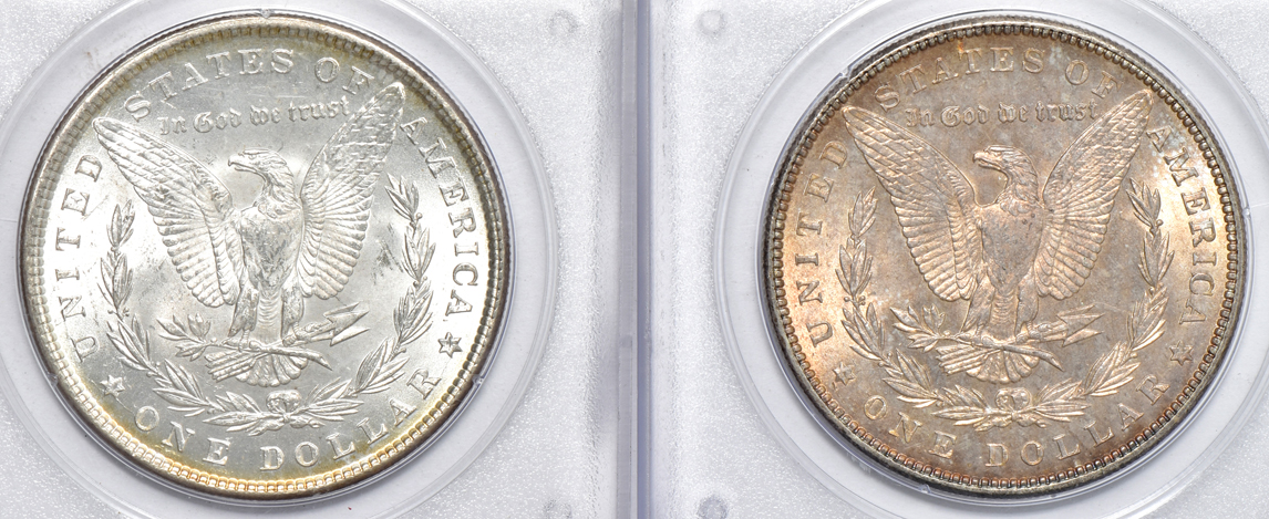 Six Morgan silver dollars, all PCGS (rattler) CAC (two gold)