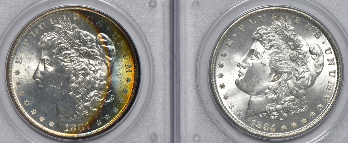 Six Morgan silver dollars, all PCGS (rattler) CAC (two gold)