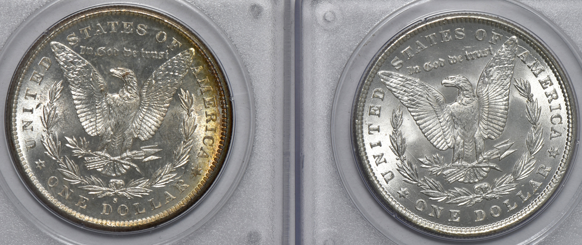 Six Morgan silver dollars, all PCGS (rattler) CAC (two gold)