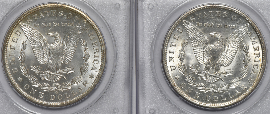 Four Morgan silver dollars MS-64, and a 1934 Peace silver dollar MS-61 CAC, all PCGS (rattler)