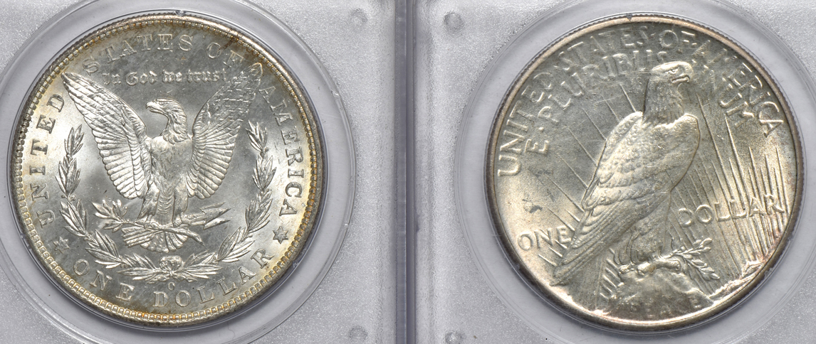 Four Morgan silver dollars MS-64, and a 1934 Peace silver dollar MS-61 CAC, all PCGS (rattler)