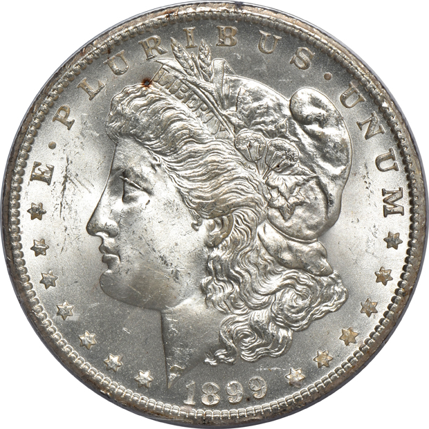 Four Morgan silver dollars MS-64, and a 1934 Peace silver dollar MS-61 CAC, all PCGS (rattler)