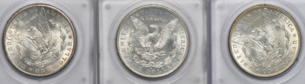 Seven UNC Morgan silver dollars, all PCGS (rattler)