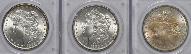Seven UNC Morgan silver dollars, all PCGS (rattler)