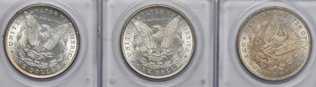 Seven UNC Morgan silver dollars, all PCGS (rattler)