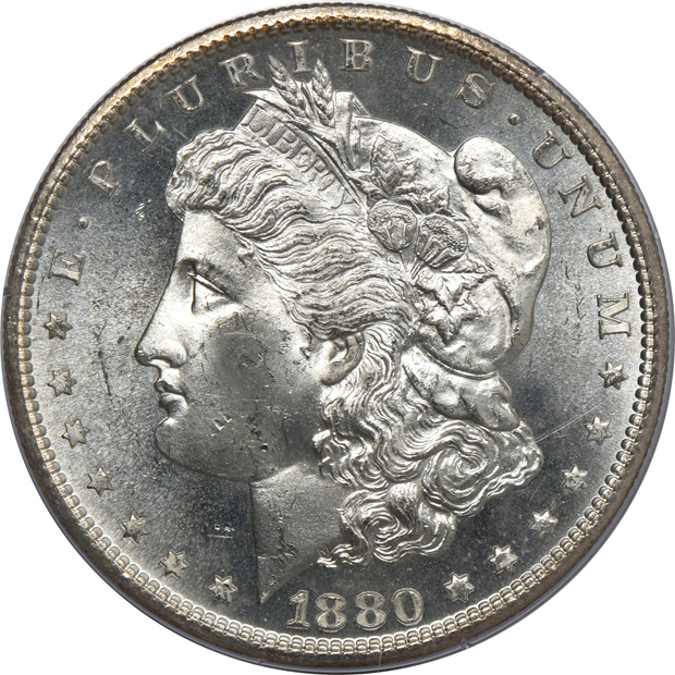 Seven UNC Morgan silver dollars, all PCGS (rattler)