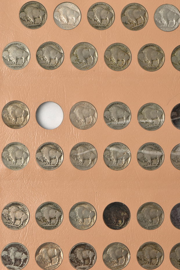 Complete collection of Buffalo nickels in a Dansco 7112 album