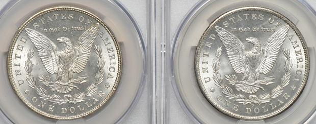 Four Morgan silver dollars, all CACG MS-65
