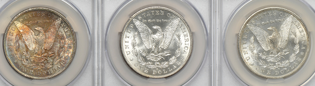 Eleven Morgan silver dollars, all CACG MS-64