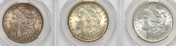 Eleven Morgan silver dollars, all CACG MS-64