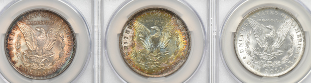 Eleven Morgan silver dollars, all CACG MS-64