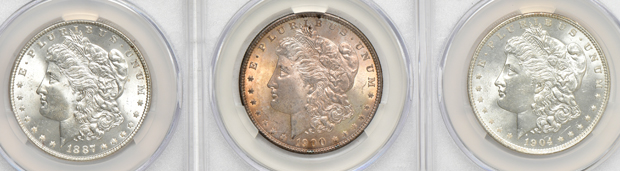 Eleven Morgan silver dollars, all CACG MS-64