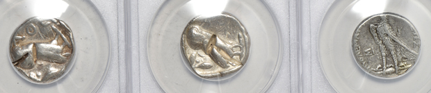 Ancient Greece - Eight coins certified by ANACS