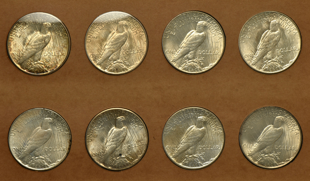 Complete collection of Peace silver dollars in a Wayte Raymond album