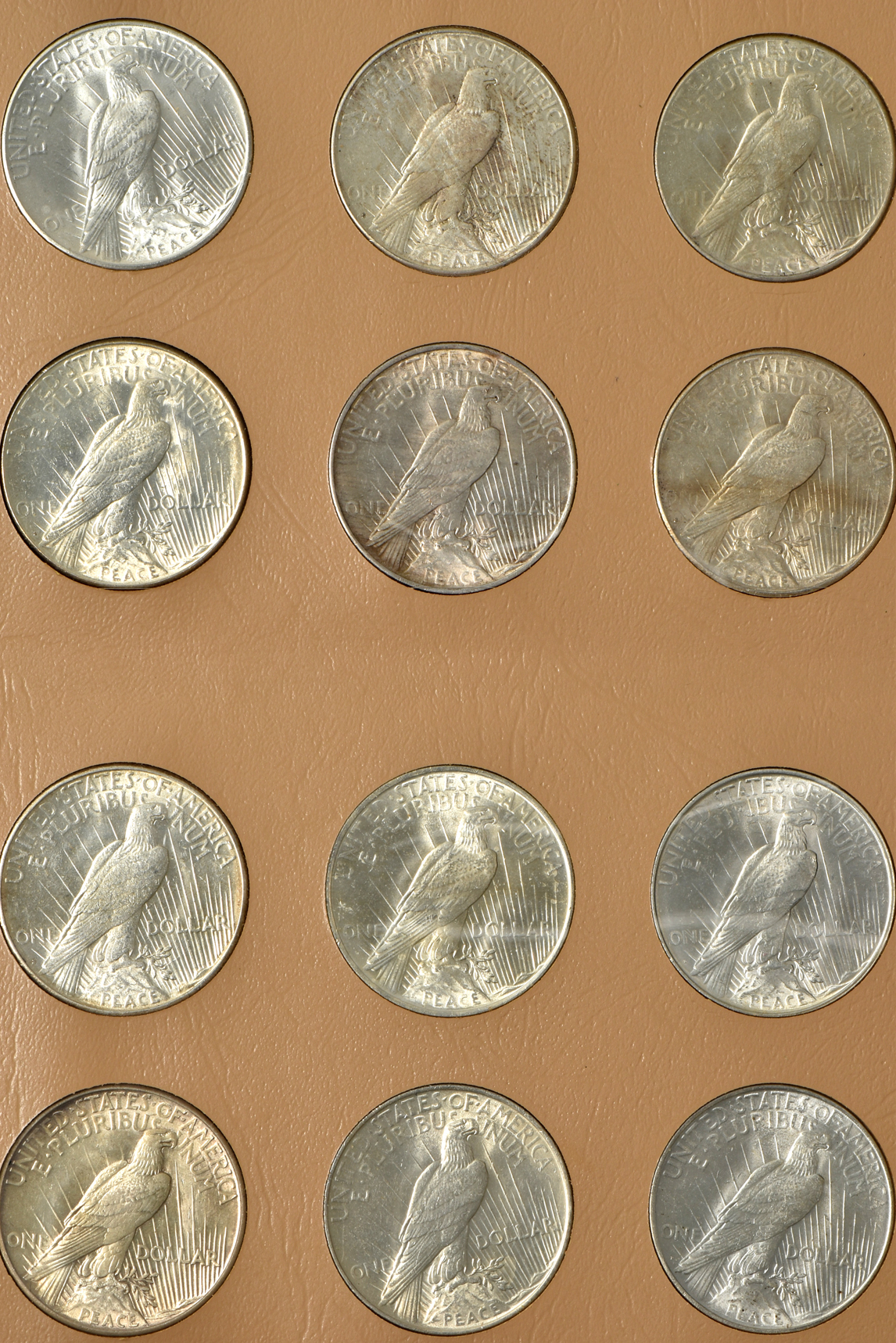 Complete collection of Peace silver dollars in a Dansco 7175 album