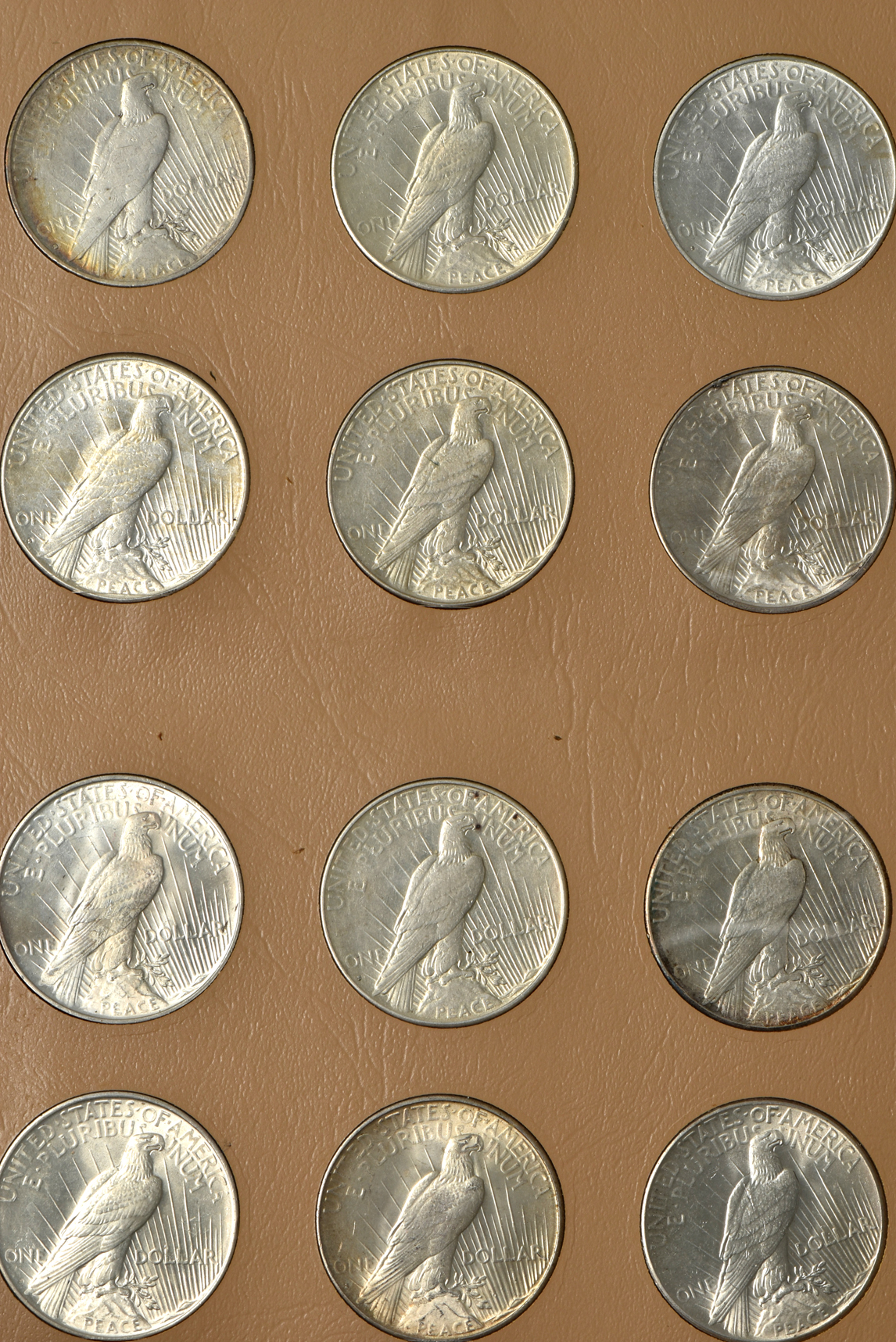 Complete collection of Peace silver dollars in a Dansco 7175 album