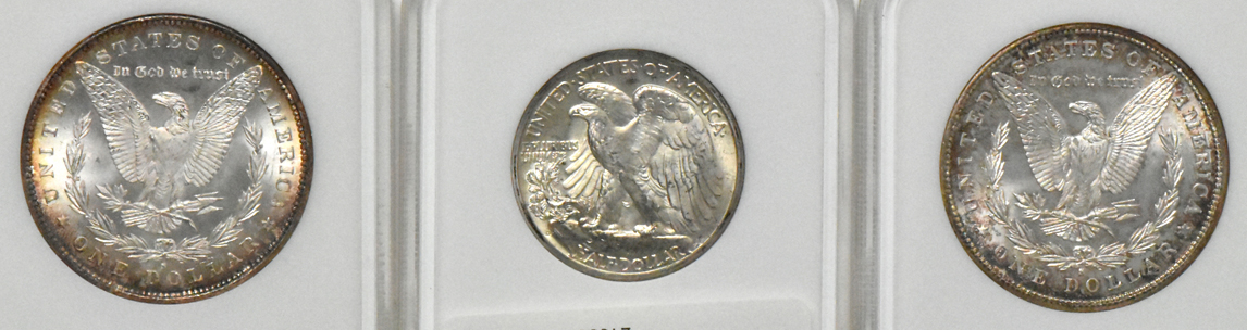 Six Morgan silver dollars, a Peace silver dollar, and a Walking Liberty half-dollar, all NGC (no-line, three aqua labels)
