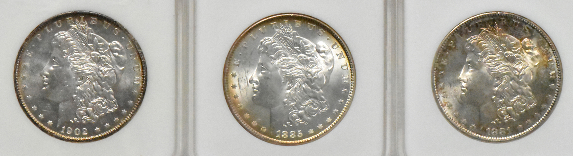 Six Morgan silver dollars, a Peace silver dollar, and a Walking Liberty half-dollar, all NGC (no-line, three aqua labels)