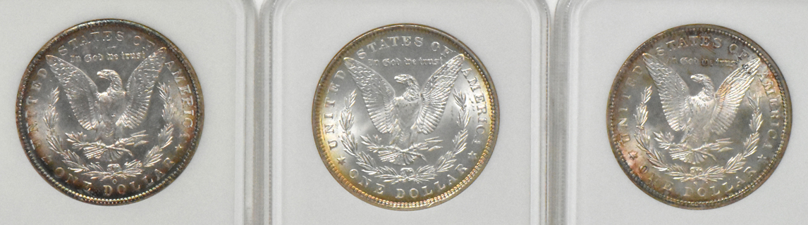 Six Morgan silver dollars, a Peace silver dollar, and a Walking Liberty half-dollar, all NGC (no-line, three aqua labels)