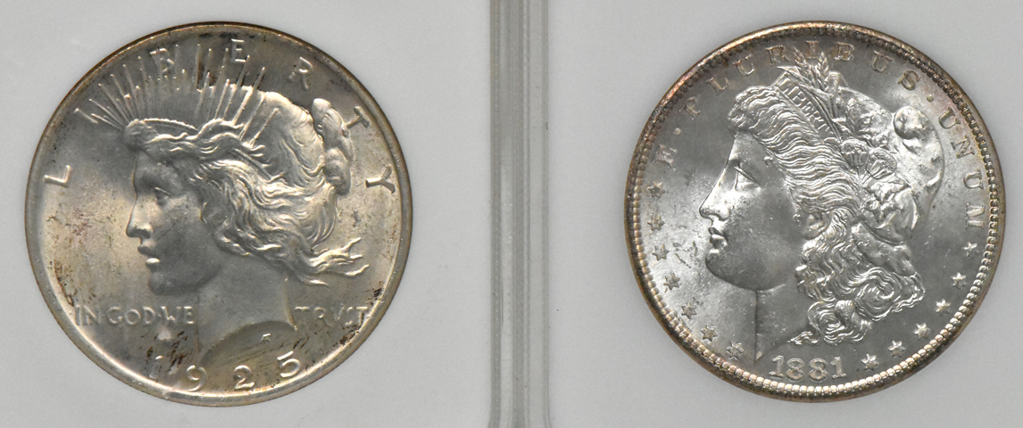 Six Morgan silver dollars, a Peace silver dollar, and a Walking Liberty half-dollar, all NGC (no-line, three aqua labels)