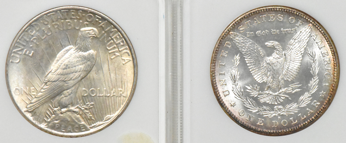 Six Morgan silver dollars, a Peace silver dollar, and a Walking Liberty half-dollar, all NGC (no-line, three aqua labels)