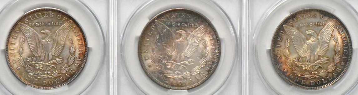 Five Uncirculated Morgan silver dollars, all CACG