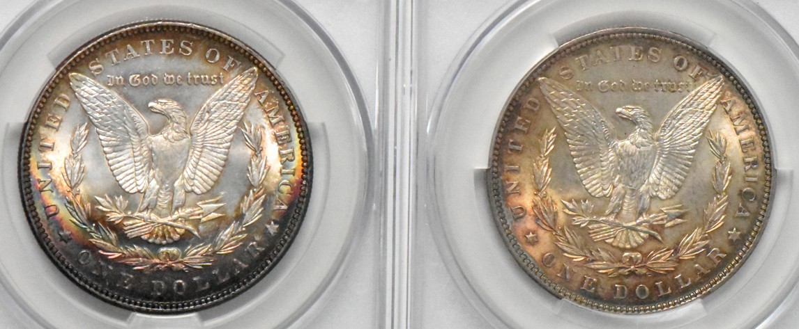 Five Uncirculated Morgan silver dollars, all CACG