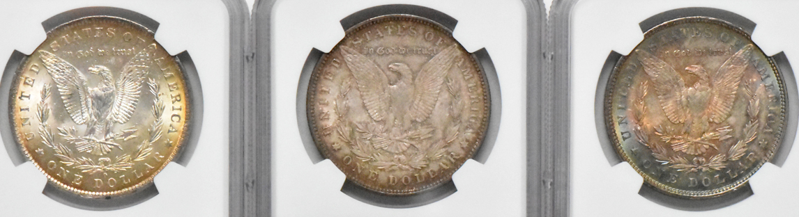 Six toned Uncirculated Morgan silver dollars, all NGC