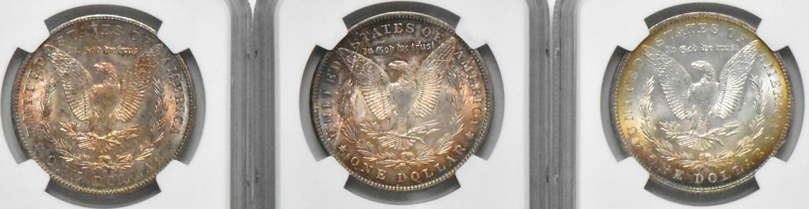 Six toned Uncirculated Morgan silver dollars, all NGC