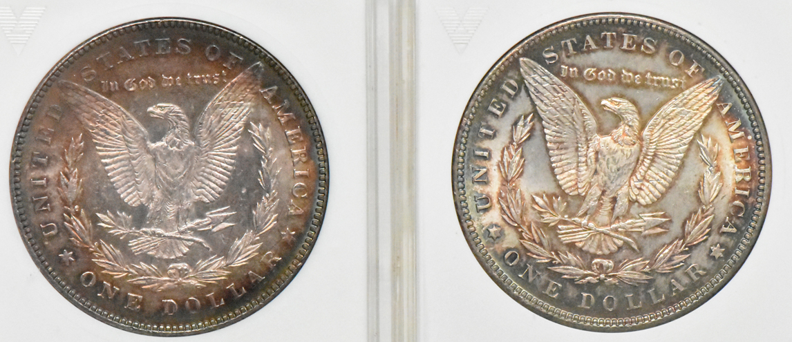 Four toned Uncirculated Morgan silver dollars, all ANACS (mini)