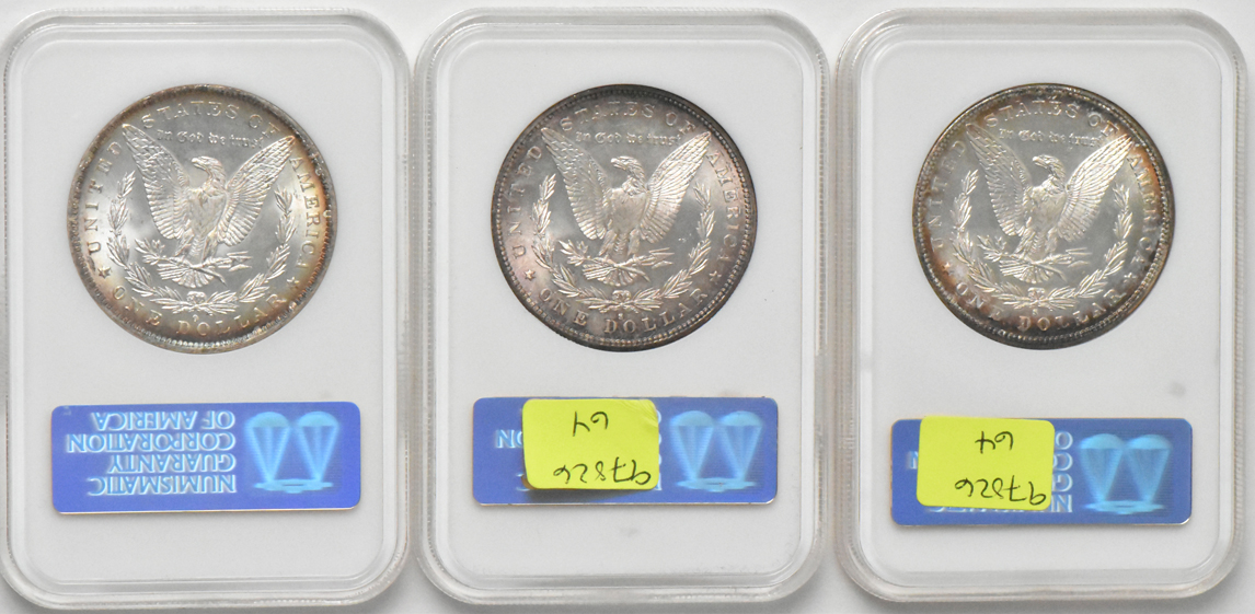 Seven Morgan silver dollars, all NGC MS-64 (no line)