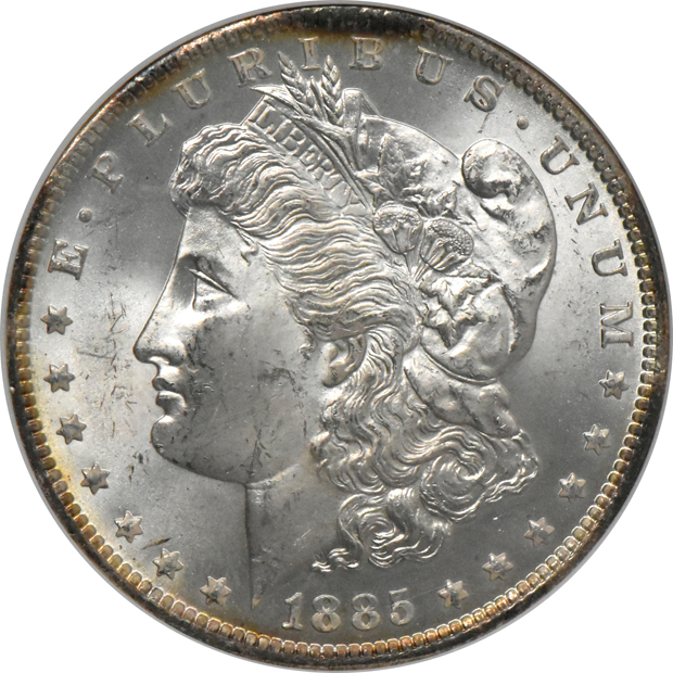 Seven Morgan silver dollars, all NGC MS-64 (no line)