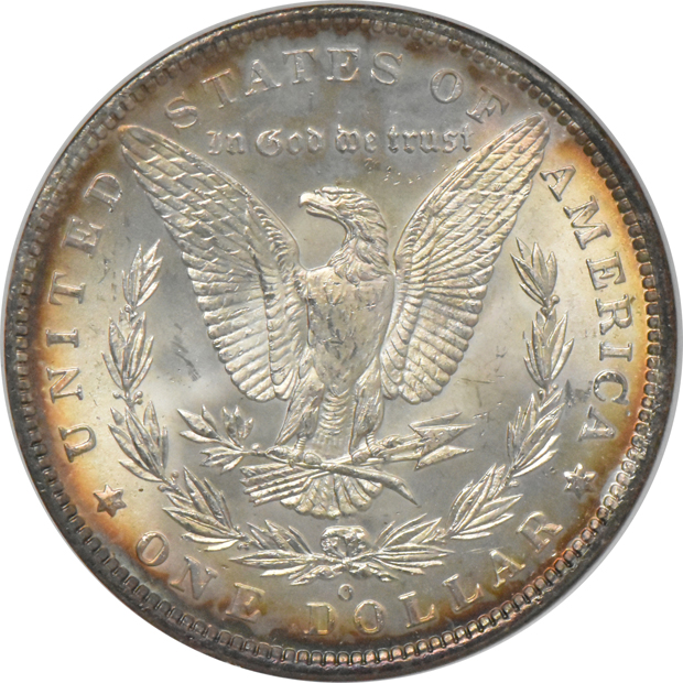 Seven Morgan silver dollars, all NGC MS-64 (no line)