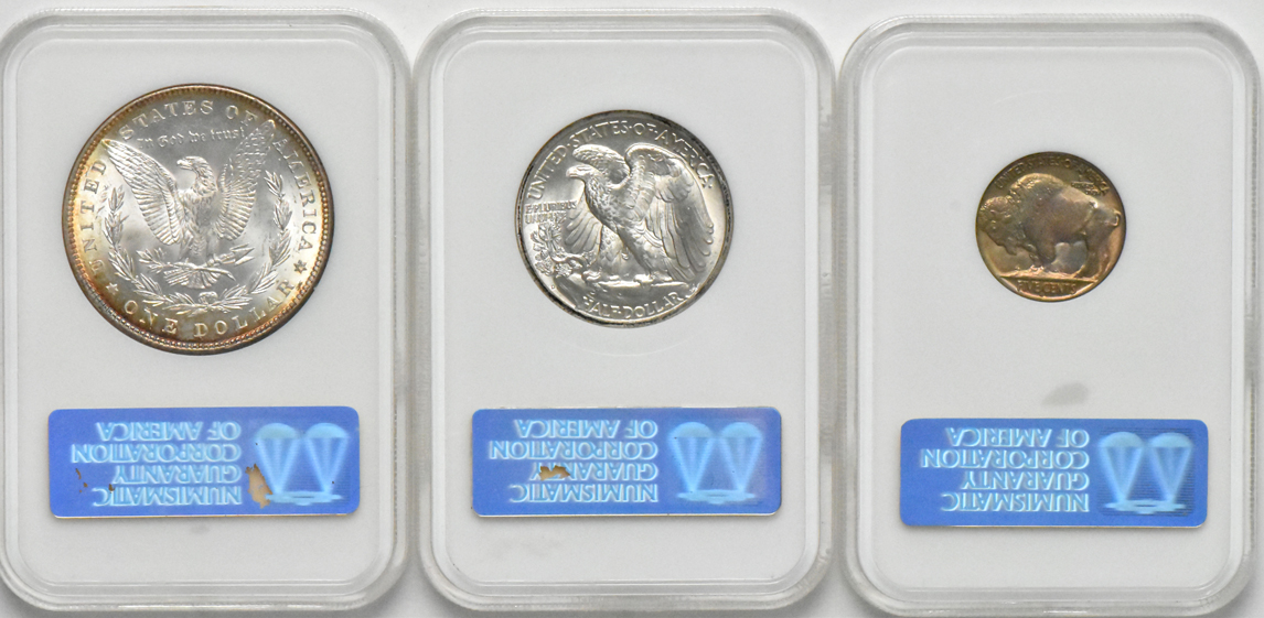 Twelve Uncirculated type coins, all NGC (no line)