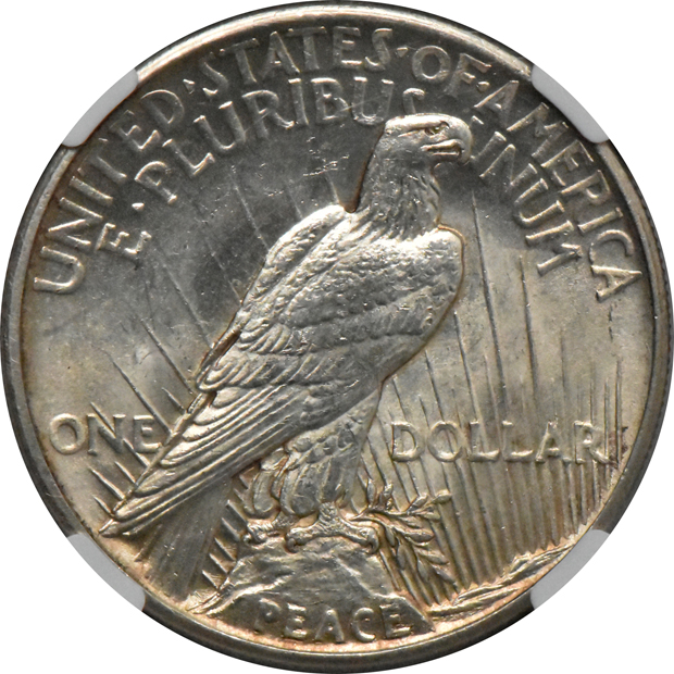 1921 Peace, High Relief NGC MS-63+