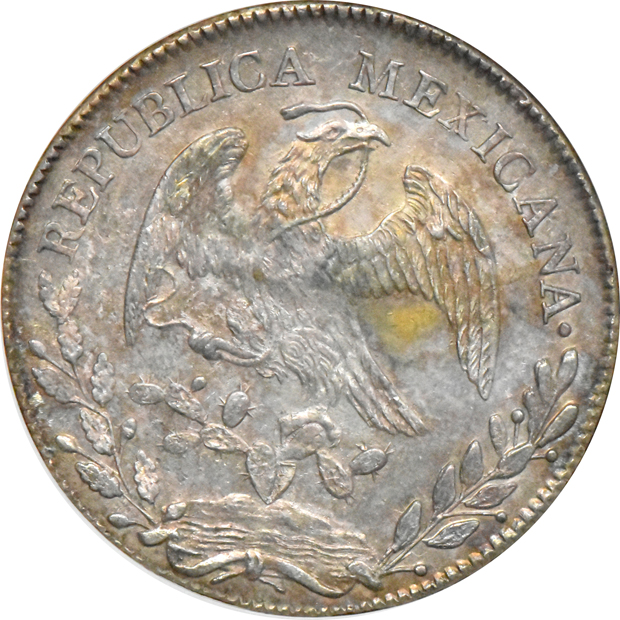 Mexico - 1843-MO MM 8 reales - NGC MS-63