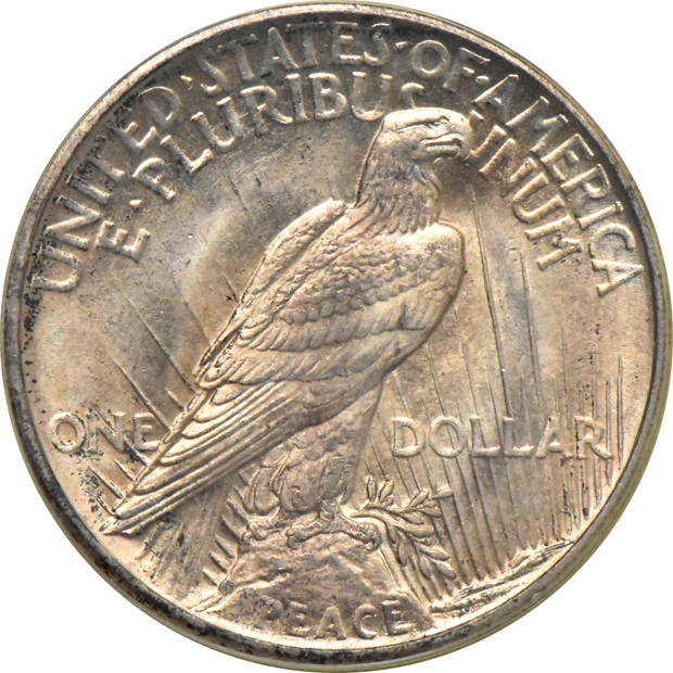 1921 Peace, High Relief PCGS MS-64 (green label)