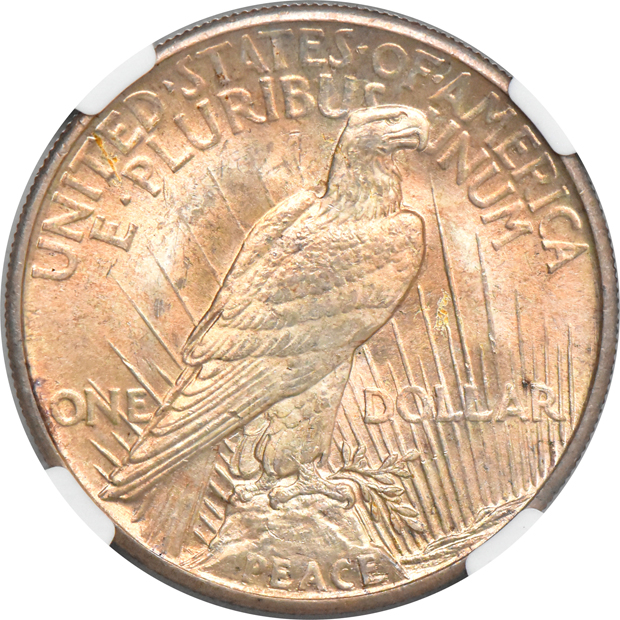 1921 Peace, High Relief NGC MS-64