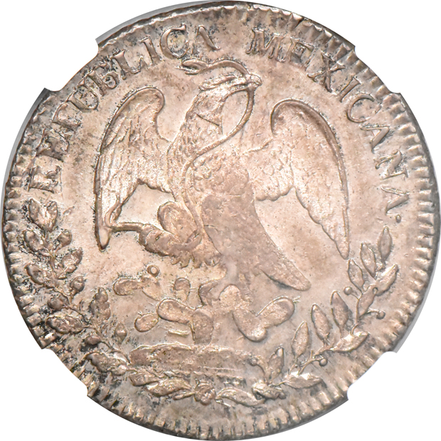 Mexico - 1834-PI JS 8 reales - NGC MS-63