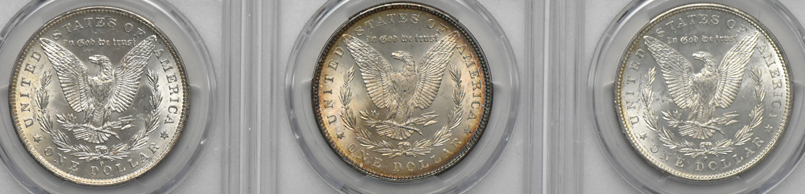 Nine toned Morgan dollars, all PCGS MS-63