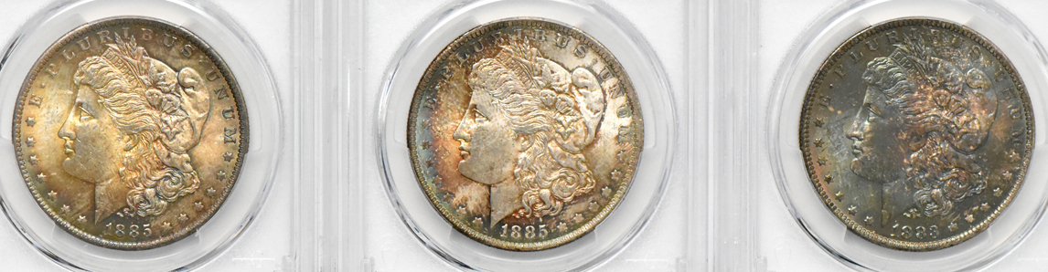 Nine toned Morgan dollars, all PCGS MS-63